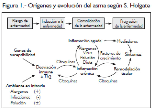 Vista De Fisiopatologia De Los Problemas Respiratorios En Pacientes Asmaticos Recimundo